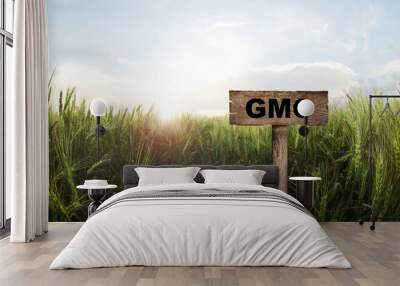 GMO crop. Wooden sign in field with ripening wheat Wall mural