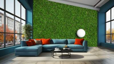 Golf ball on green artificial grass, top view with space for text Wall mural