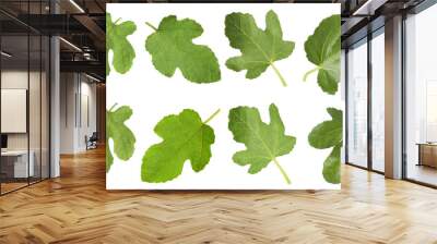 Green fig leaves isolated on white, set Wall mural