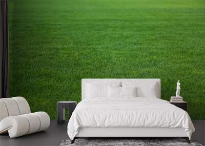 Green lawn with fresh grass as background Wall mural