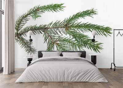 Green pine tree branch isolated on white Wall mural