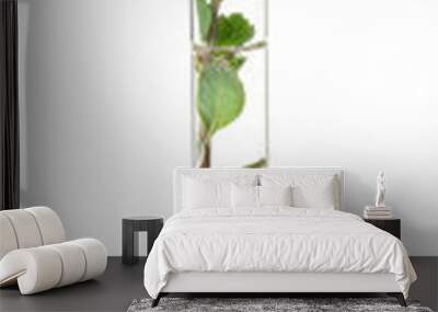 Green plant in test tube on white background Wall mural