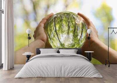 Green trees outdoors, overturned reflection. Man holding crystal ball in forest, closeup Wall mural