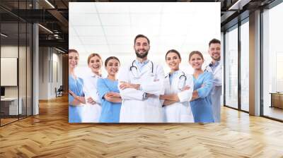 Group of medical doctors at clinic. Unity concept Wall mural