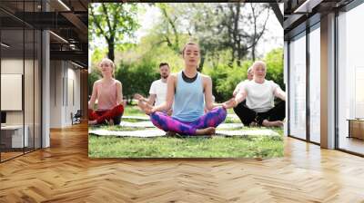 Group of people practicing yoga in park on sunny day Wall mural