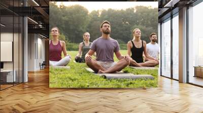 Group of people practicing yoga on mats outdoors. Lotus pose Wall mural