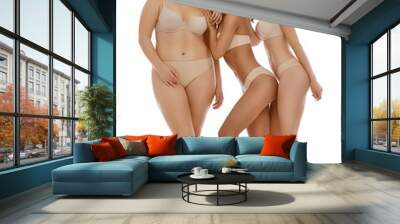 Group of women with different body types in underwear on white background Wall mural