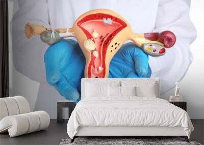 Gynecologist holding model of female reproductive system on white background, closeup Wall mural