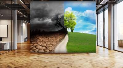 Half dead and alive tree outdoors. Conceptual photo depicting Earth destroyed by environmental pollution Wall mural