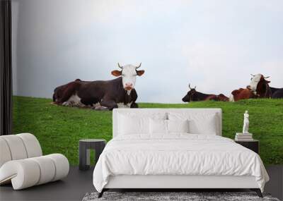 Herd of beautiful cows on green hill Wall mural