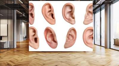 Human ears on white background, collage. Organ of hearing and balance Wall mural