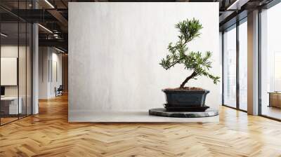 Japanese bonsai plant on light stone table, space for text. Creating zen atmosphere at home Wall mural