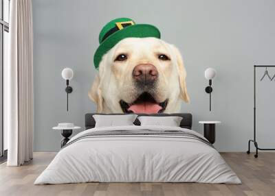 Labrador retriever with leprechaun hat on light grey background. St. Patrick's day Wall mural