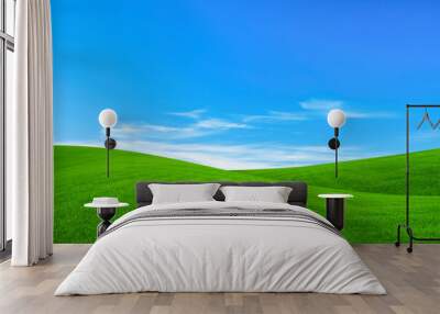 Lush green grass under bright blue sky with clouds Wall mural