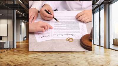 Man and woman signing marriage contract at light grey table, closeup Wall mural