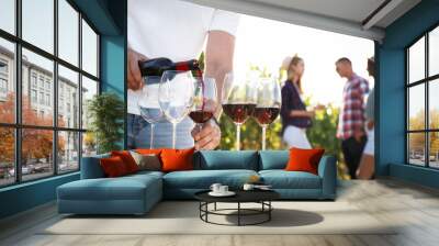 Man pouring wine from bottle into glasses at vineyard, closeup Wall mural