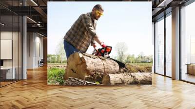 Man sawing wooden log on sunny day Wall mural