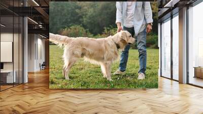 Man with cute Golden Retriever dog on spring day, closeup Wall mural