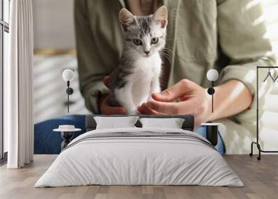 Man with cute kitten at home, closeup Wall mural