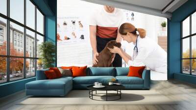 Man with his pet visiting veterinarian in clinic. Doc examining Labrador puppy Wall mural