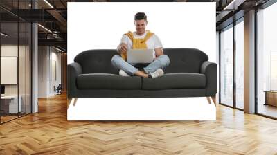 Man with laptop on comfortable grey sofa against white background Wall mural