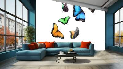 Many beautiful colorful butterflies flying on white background Wall mural