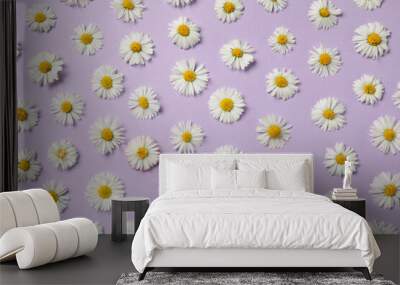 Many beautiful daisy flowers on lilac background, flat lay Wall mural