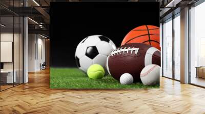 Many different sports balls on green grass against black background, space for text Wall mural