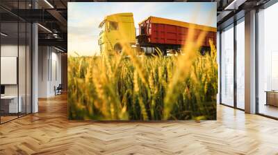 Modern bright truck on road near wheat field Wall mural