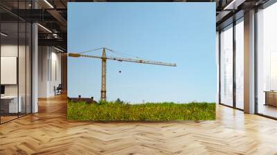 Modern construction crane near meadow on sunny spring day Wall mural