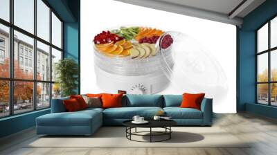 Modern dehydrator machine with different fruits on white background Wall mural