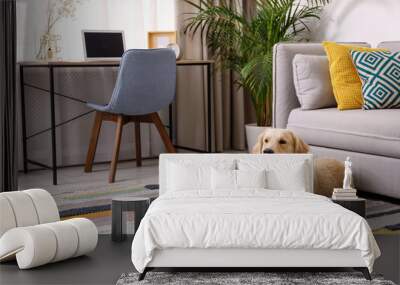 Modern living room interior. Cute Golden Labrador Retriever near couch Wall mural