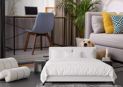 Modern living room interior. Cute Golden Labrador Retriever near couch Wall mural