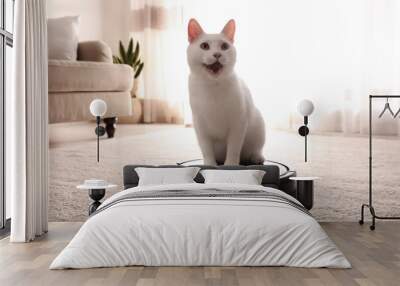 Modern robotic vacuum cleaner and cute cat on floor indoors Wall mural