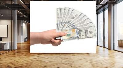 Money exchange. Woman holding dollar banknotes on white background, closeup Wall mural