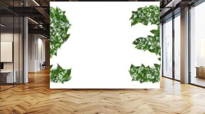 Numbers made of fresh green leaves on white background. Banner design Wall mural