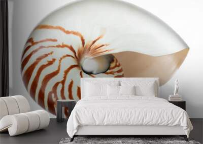 One beautiful nautilus shell isolated on white Wall mural