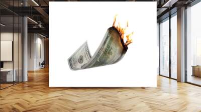 One hundred dollar banknote burning on white background Wall mural