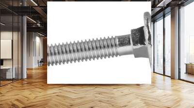 One metal carriage bolt isolated on white Wall mural