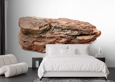 One piece of tree bark on white background Wall mural