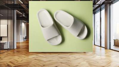 Pair of slippers on green background, top view Wall mural