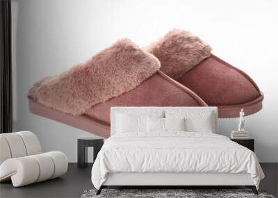 pair of stylish soft slippers on white background Wall mural