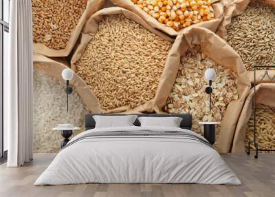 Paper bags with different types of grains and cereals as background Wall mural