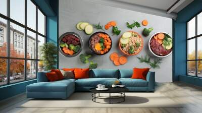 Pet food and natural ingredients on grey table, flat lay Wall mural