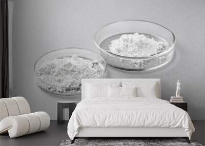 Petri dishes with calcium carbonate powder on light grey table Wall mural