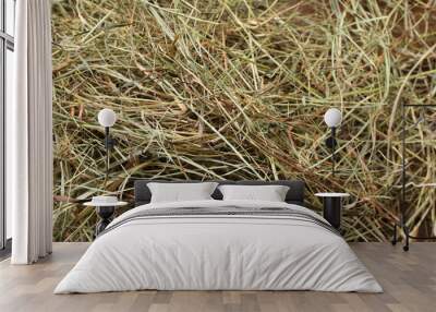 Pile of dried hay on table, closeup view Wall mural