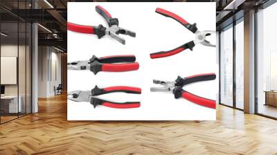 Pliers isolated on white, set. Construction tool Wall mural