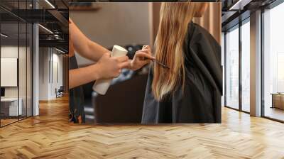 Professional hairdresser working with girl in beauty salon, closeup Wall mural