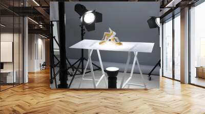 Professional photography equipment prepared for shooting stylish shoes in studio Wall mural