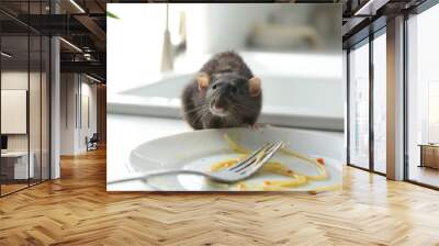 Rat near dirty plate on kitchen counter. Pest control Wall mural